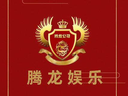 腾龙公司游戏团队